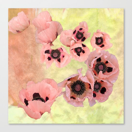 Poppy fever Canvas Print