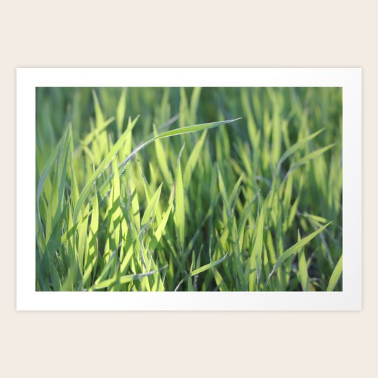 Green Paradise Art Print