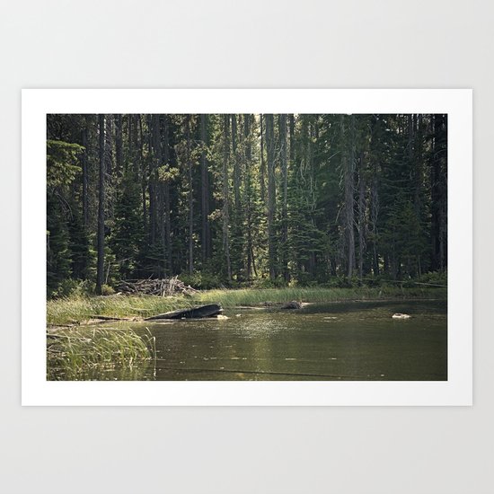 Mountain Pond Art Print