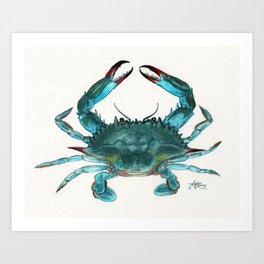 "Blue Crab" by Amber Marine ~ Watercolor Painting, Illustration, (Copyright 2013) Art Print