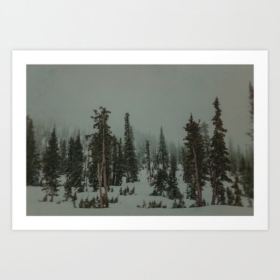 Winter Forest Art Print