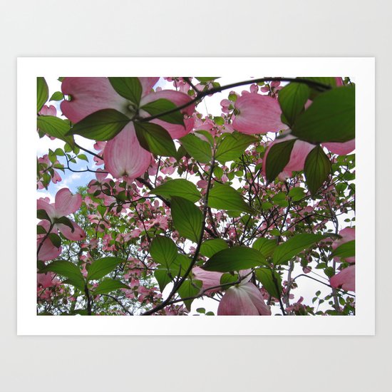 Pink Dreams Art Print
