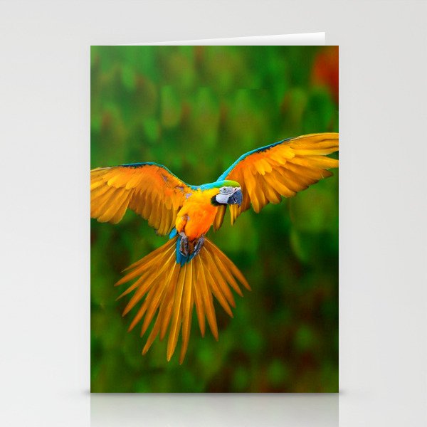 Flying Golden Blue Macaw Parrot Green Art Stationery Cards By Sharlesart Society6,Gas Grills At Home Depot