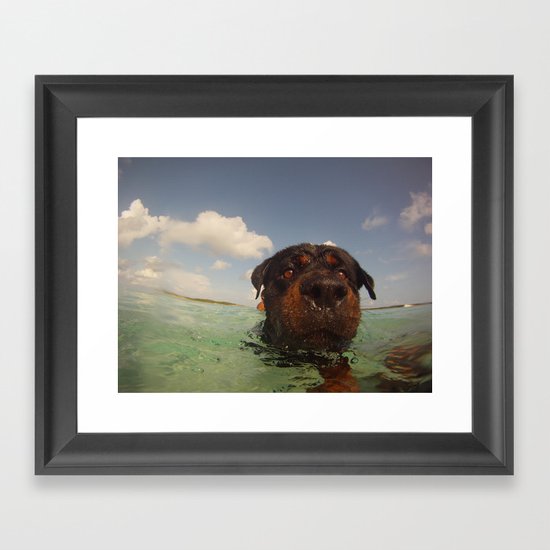 Oso swimming Framed Art Print
