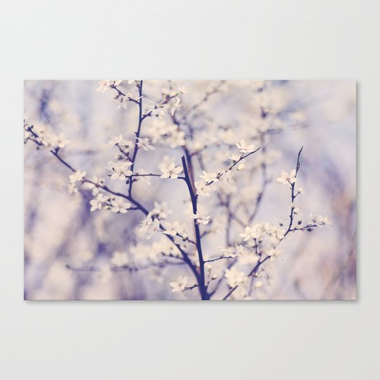 Spring blossom Canvas Print