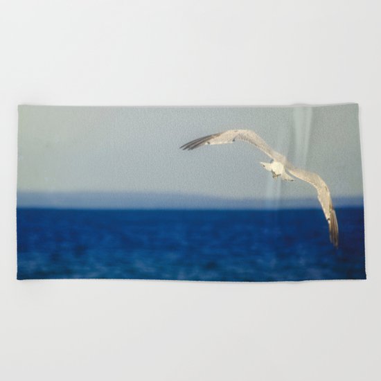 Flight Beach Towel