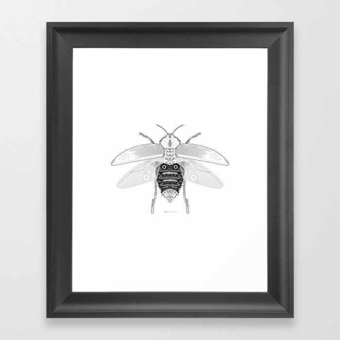 entomology 03. (ii) Framed Art Print