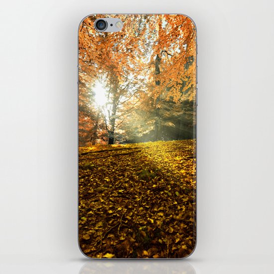 Morning sunbeam in the forest iPhone & iPod Skin