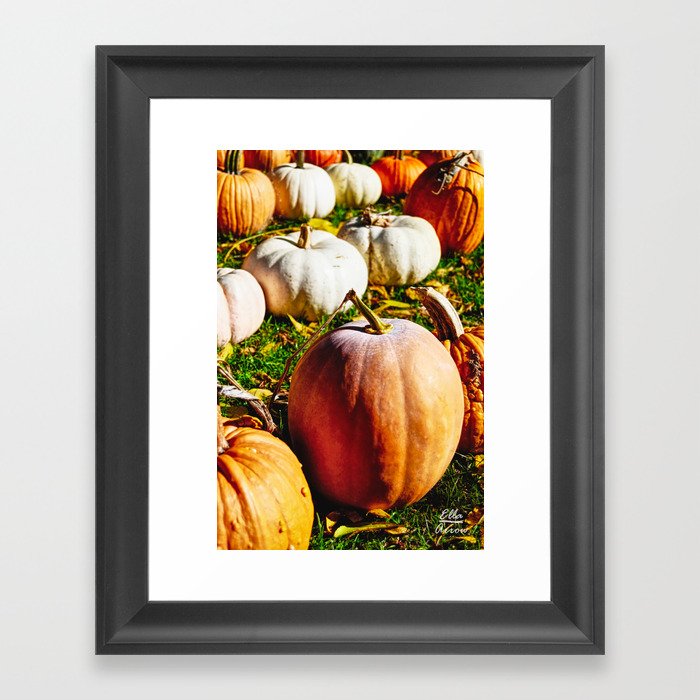Pumpkin Perfection Framed Art Print