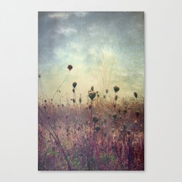 Her Mind Wandered in Beautiful Worlds Canvas Print