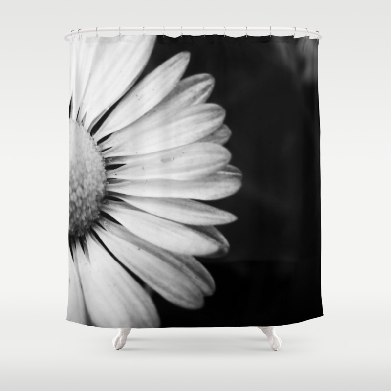 Black And White Flower Macro Photography Monochromatic Photo