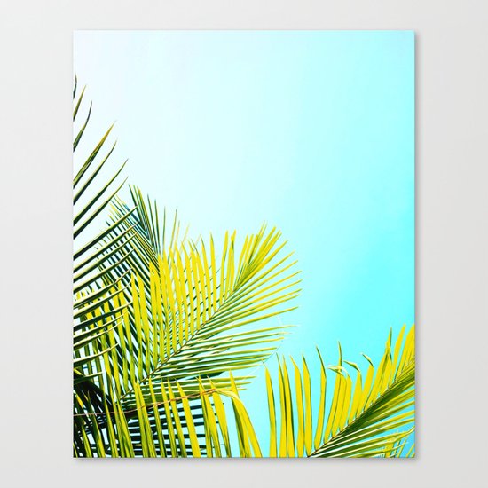 Palm Fronds Canvas Print