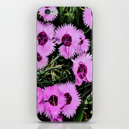 Carnations of the Scottish Highlands in I Art   iPhone Skin