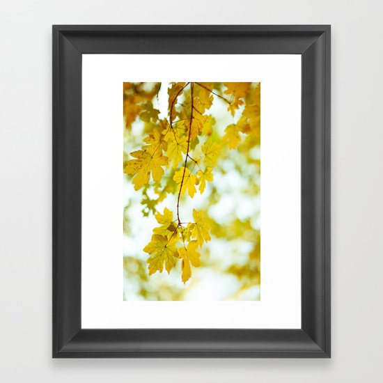 Light Glorifies Everything Framed Art Print