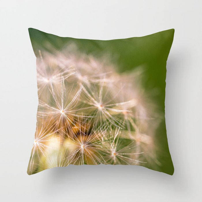 Snowglobe - Macro Photograph of Dandelion Throw Pillow