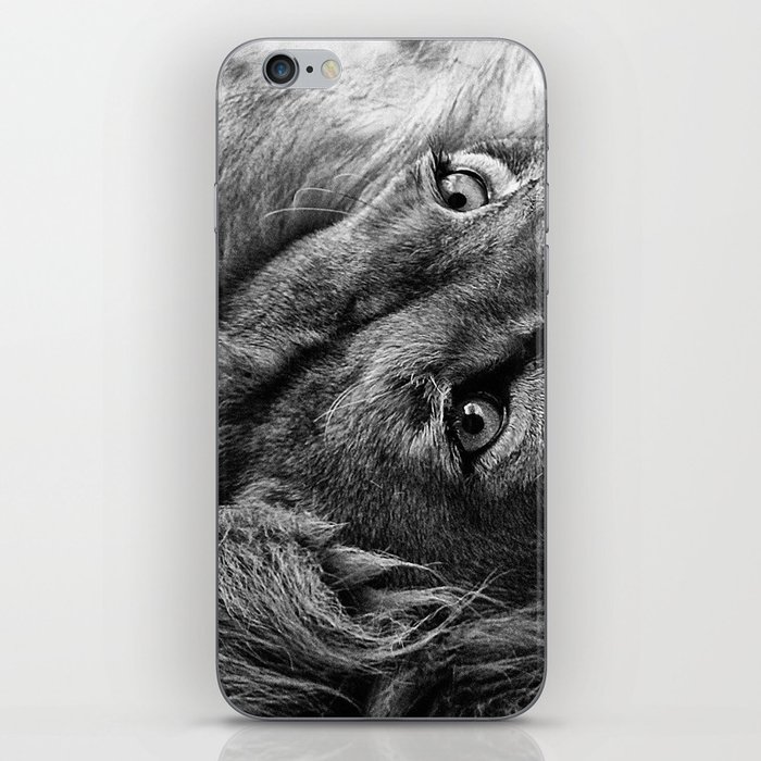 Themba the Lion (Black and White Version) iPhone Skin