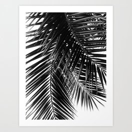 Tropical Vibes | Black and White Art Print