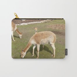 Llama Baby Carry-All Pouch | Wildlife, Conservation, Hooves, Llama, Wild, Vicuna, Animal, Head, Baby, Photo 