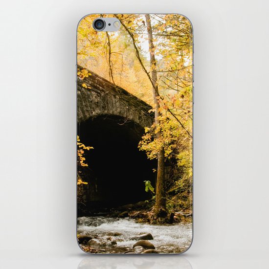 Stone Bridge iPhone Skin