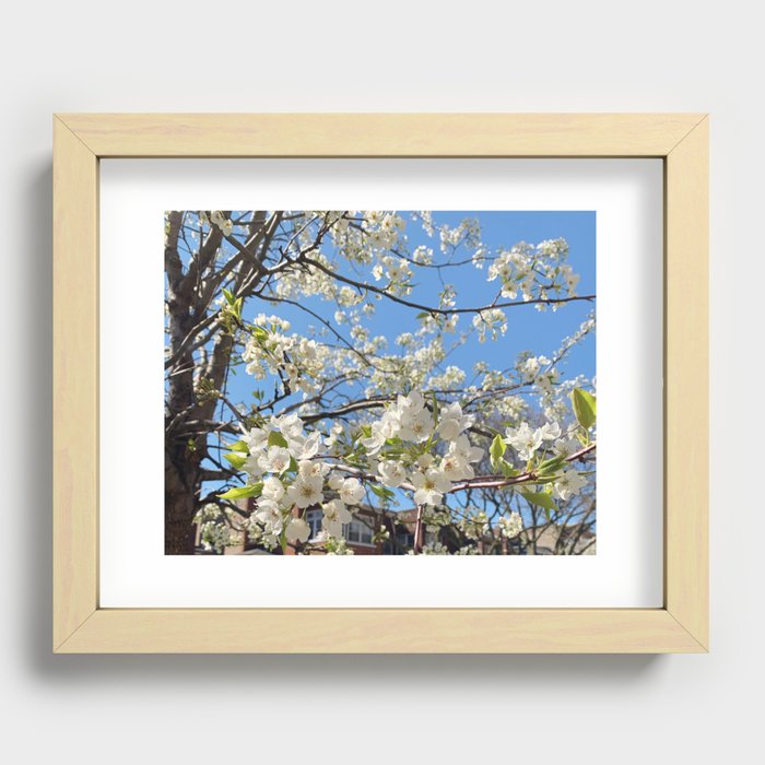 White Spring Flowers Recessed Framed Print