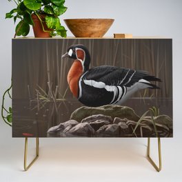 Red-breasted Goose bird Credenza