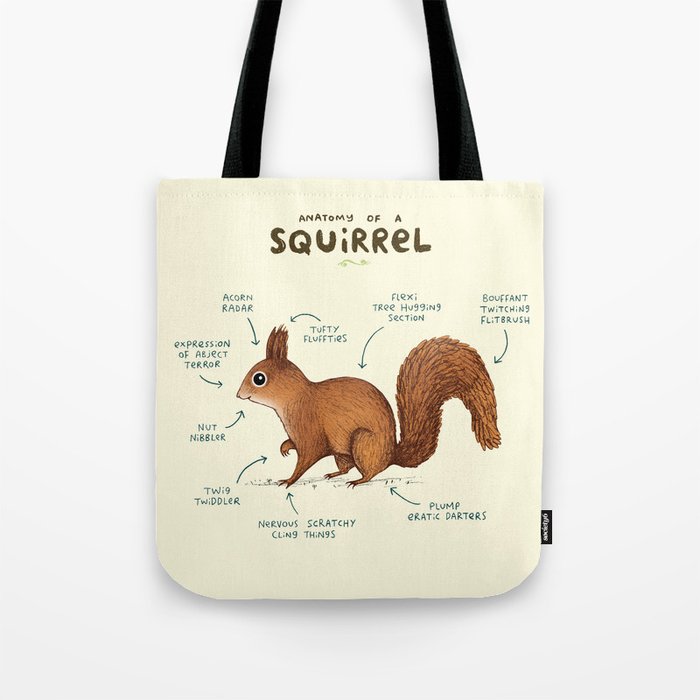 Anatomy of a Squirrel Tote Bag