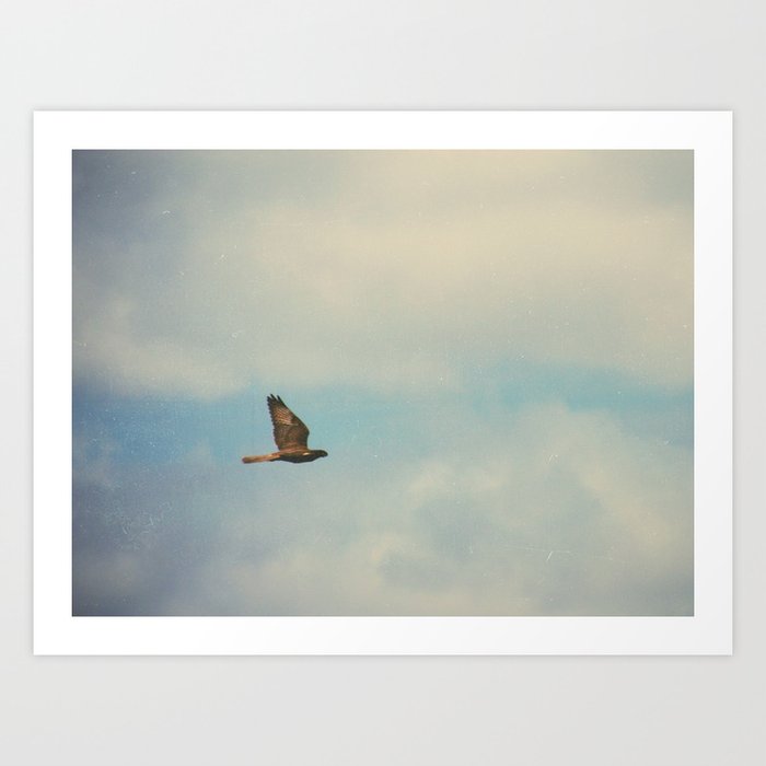 fly away Art Print