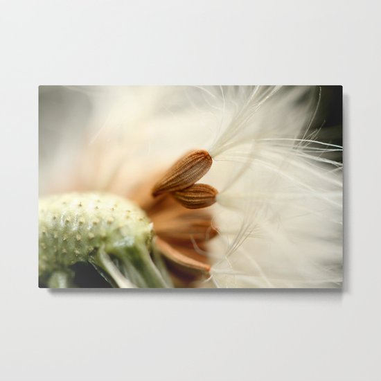 In The Breeze Metal Print
