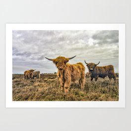 Hairy Higland Cow - A cute and fluffy gift for a Scotland lover Art Print | Nature, Scottish, Animal, Highland, Blackandwhite, Graphicdesign, Cattle, Portrait, Bovine, Scotland 