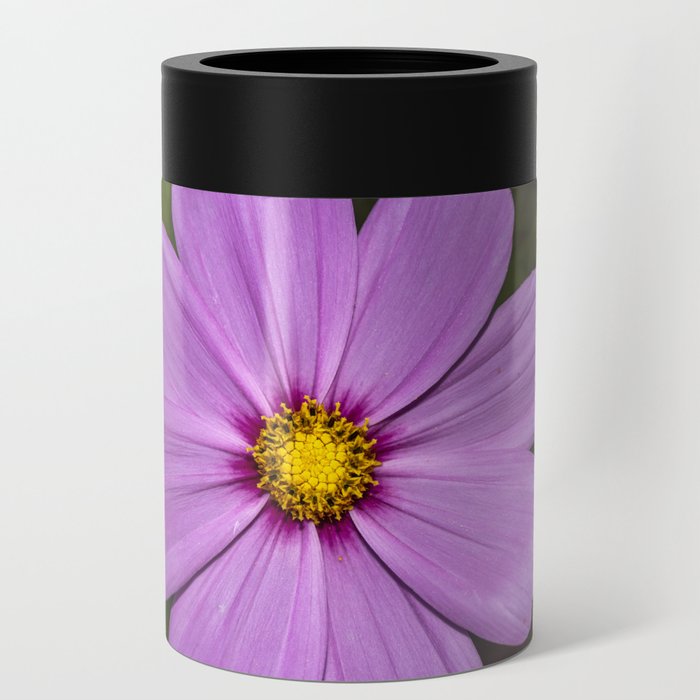 Purple cosmos Can Cooler