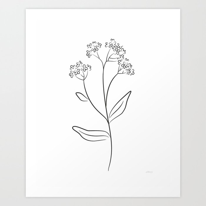 Minimalist Forget Me Not Illustration Black And White Flower Sketch Art Print By Rootsart Society6