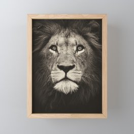 Portrait of a lion king - monochrome photography illustration Framed Mini Art Print
