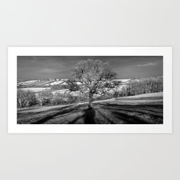 Doulting Hill Panorama Art Print | Forest, Trees, Mountains, Landscape, Dramatic, Black and White, Panoramic, Photo, Shadows, Infrared 