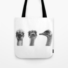 Three ostriches SK1005354 Tote Bag