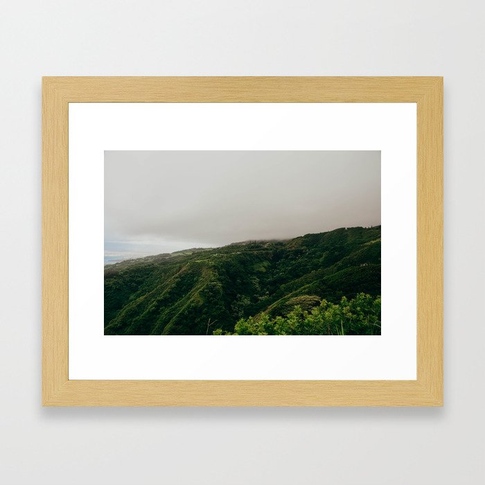 Hawaii Greenery Framed Art Print
