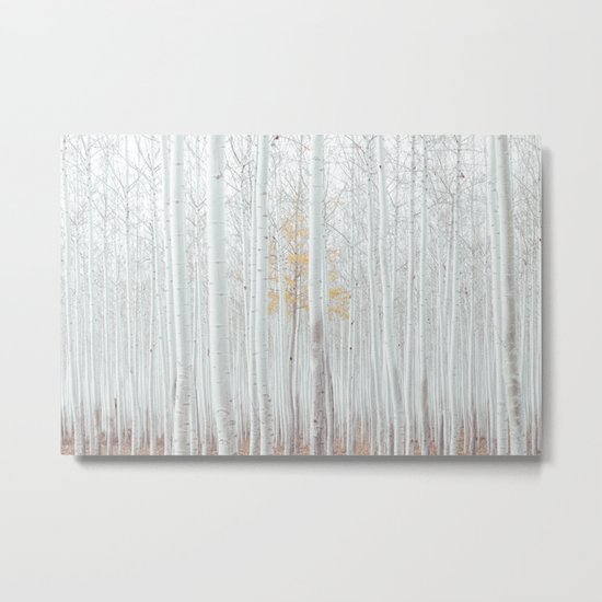 White tree forest Metal Print