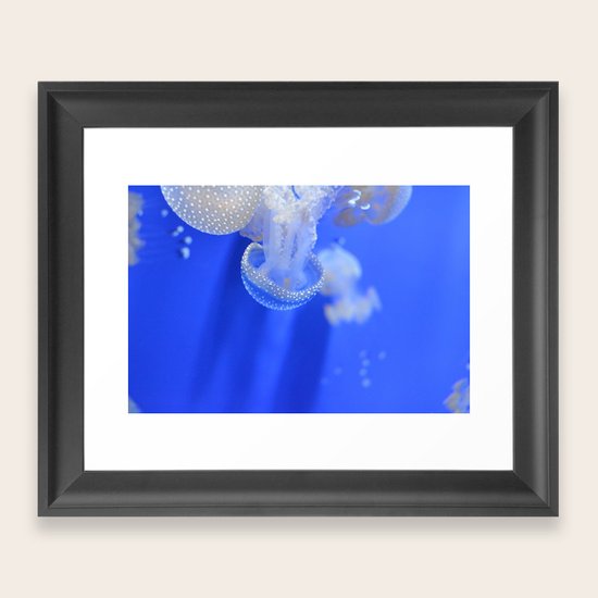 jellyfish Framed Art Print