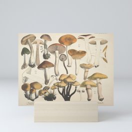 Botanical Mushroom Illustration Mini Art Print