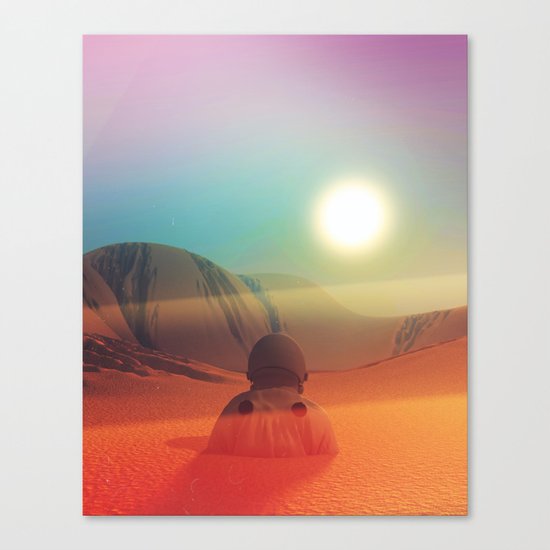 Sundazed Canvas Print