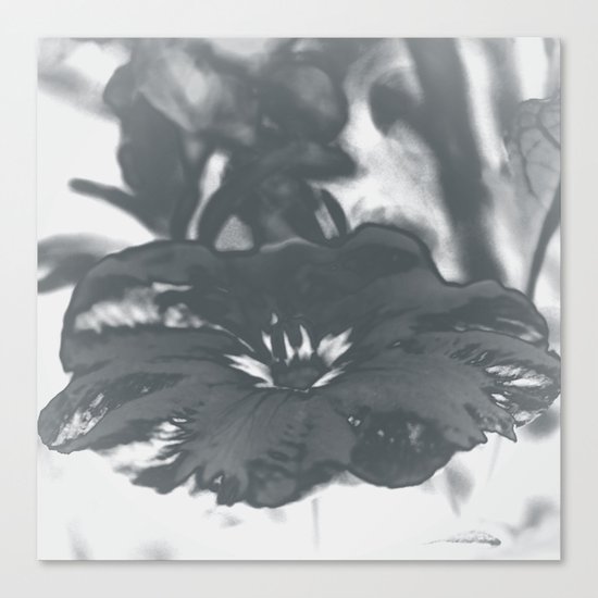 Bloom in Platinum Tone Canvas Print