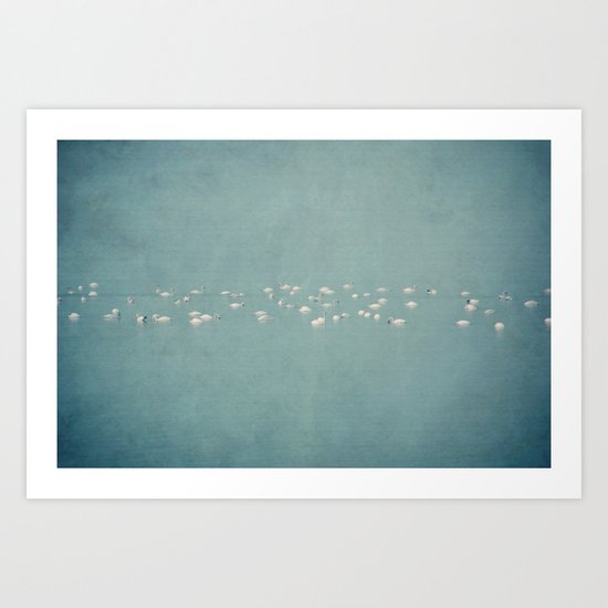 white swan Art Print