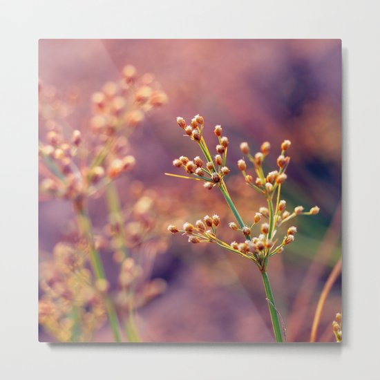 Nature1 Metal Print