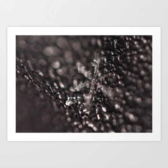 Winter Gift Art Print