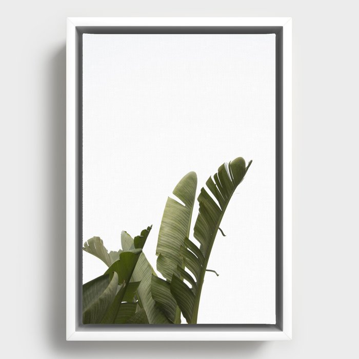 Travellers Palm Leaves 07 Framed Canvas