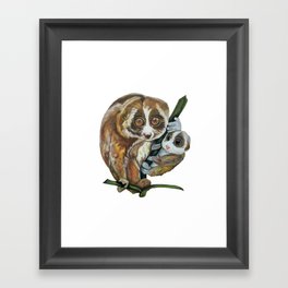 Slow Loris with Baby Framed Art Print