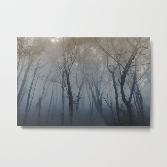 Cloudy Forest Metal Print