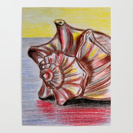 Colorful ocean shell Poster