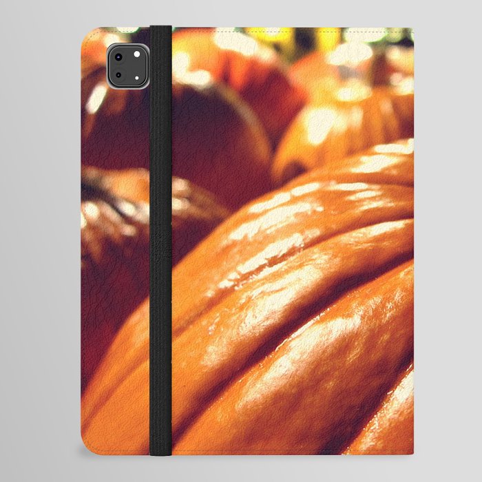 Shiny Pumpkins iPad Folio Case