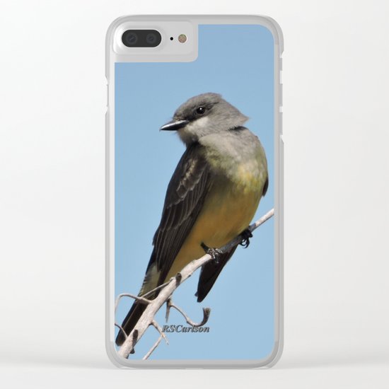 A Cassin's Kingbird Scopes the Skies for Flies Clear iPhone Case