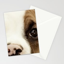Boxer Nose Stationery Cards